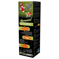 CYTOFEX 1000 ML/10.000L 