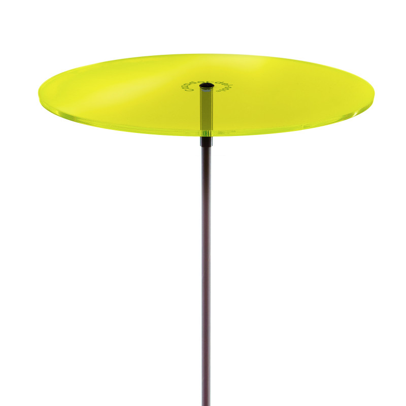 Cazador Del Sol Géant Lemon