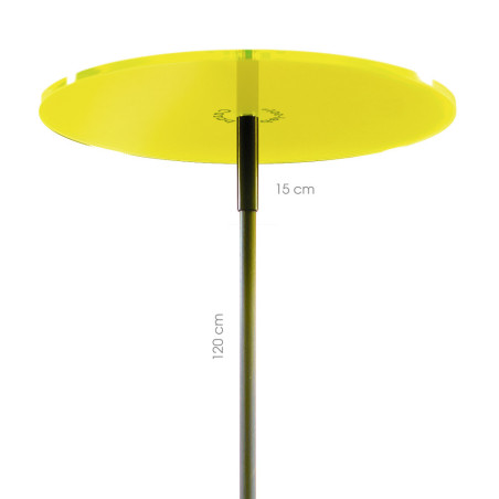 Cazador Del Sol Medio Lemon