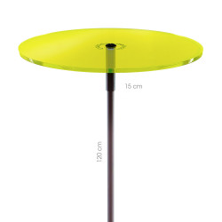 Cazador Del Sol Medio Lemon