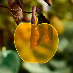 Pomme à suspendre « Gala » Jaune