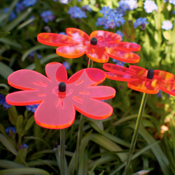 Bouquet de soleil Nea Rouge x 3
