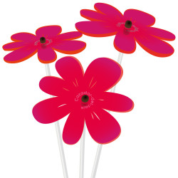 Bouquet de soleil Nea Rouge x 3