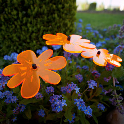 Bouquet de soleil Nea Orange x 3