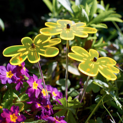 Bouquet de soleil Nea Jaune x 3