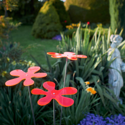 Fleur de soleil Lotta Medio rouge