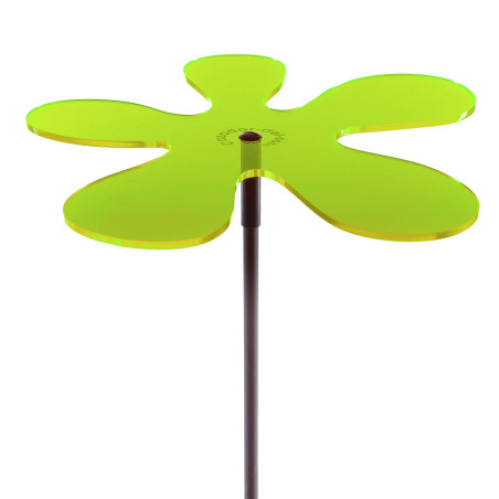 Fleur de soleil Lotta Medio verte