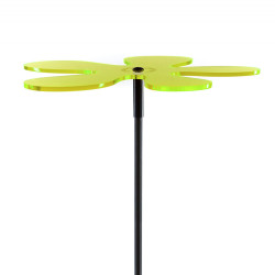 Fleur de soleil Lotta Medio verte