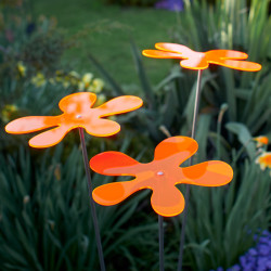 Fleur de soleil Lotta Medio Orange