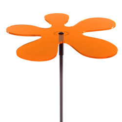 Fleur de soleil Lotta Medio Orange