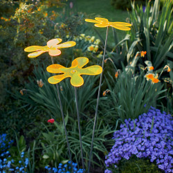 Fleur de soleil Lotta Medio Jaune Trio