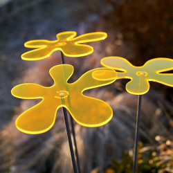 Fleur de soleil Lotta Medio Jaune Trio