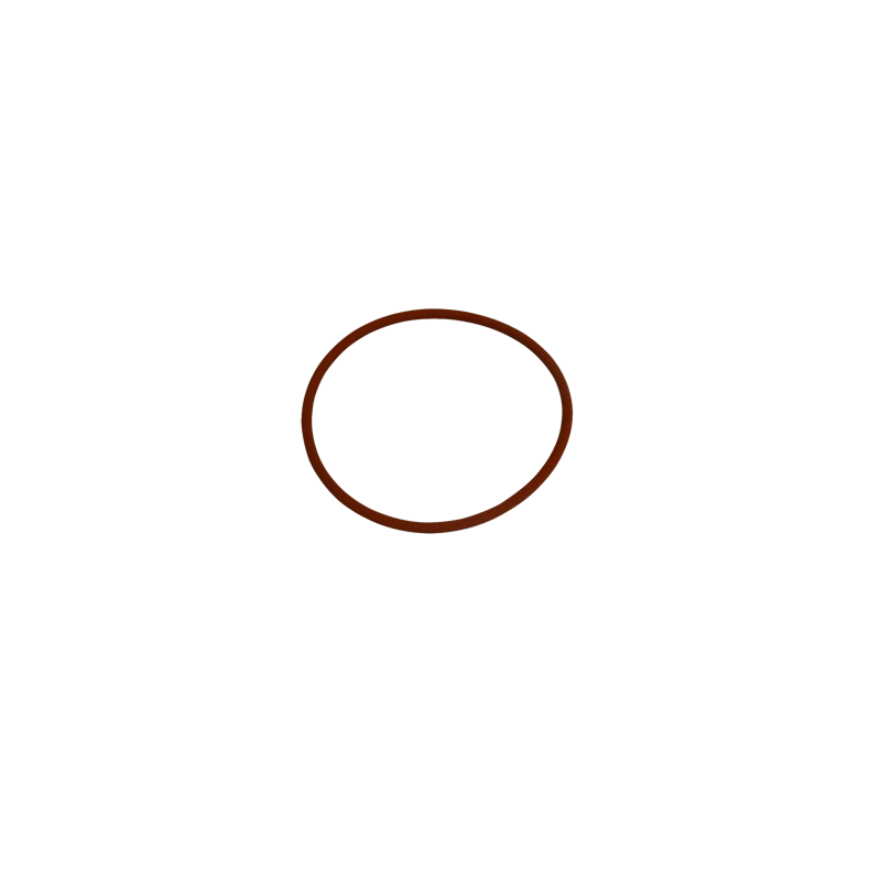 FlowFriend  Joint torique 3 "