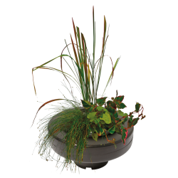 PANIER PLANTE FLOTTANT Ø 22CM