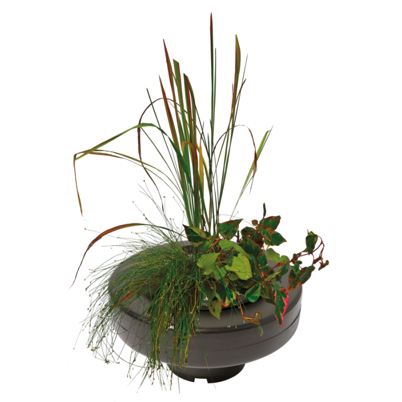 PANIER PLANTE FLOTTANT Ø 30CM