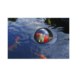 Dôme flottant pour poissons
