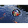 Dôme flottant pour poissons