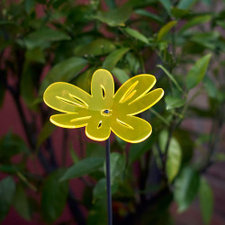 Fleur de soleil Medio Nea ondulée jaune