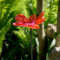 Fleur de soleil Medio Nea ondulée rouge