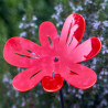Fleur de soleil Medio Nea ondulée rouge