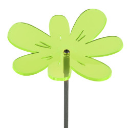 Fleur de soleil Medio Nea ondulée verte