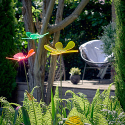 Fleur de soleil Lotta medio ondulée