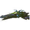 RACINE BOIS ANUBIAS NANA BONZAI TAILLE XSS