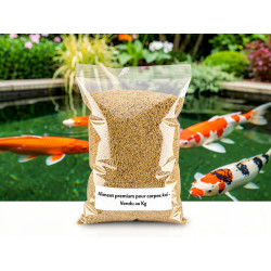Wheat Germ sinking au détail au kg