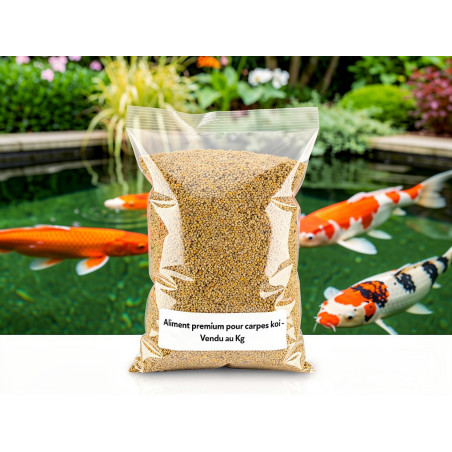 Wheat Germ sinking au détail au kg