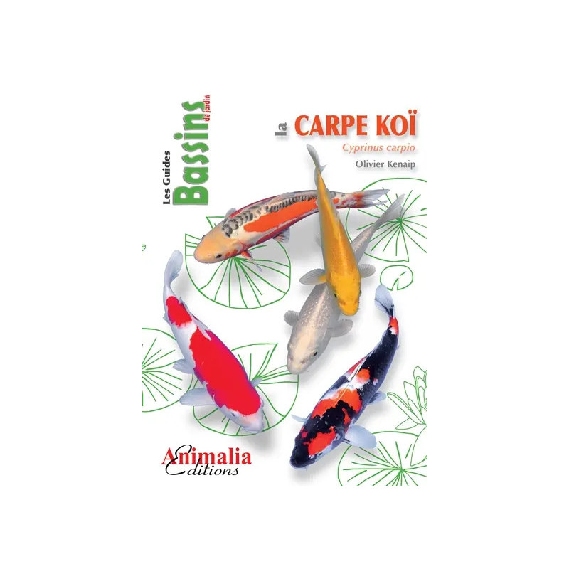 La carpe koï par Olivier Kenaip