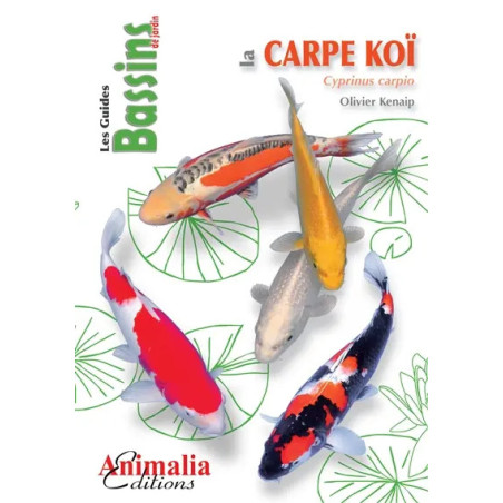 La carpe koï par Olivier Kenaip