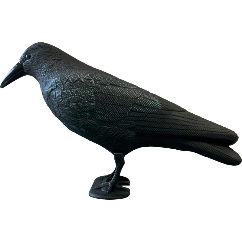 SF DECO BIRD CORBEAU