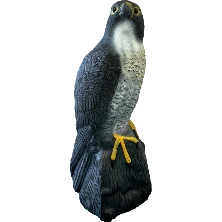 SF DECO BIRD FAUCON