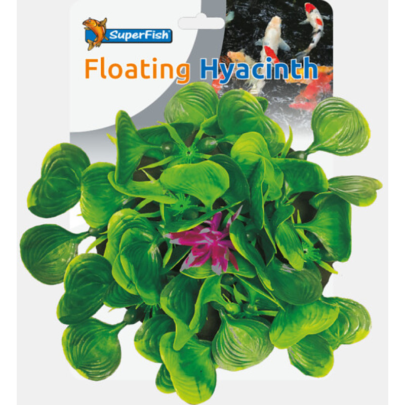 SF POND DECO HYACINTH