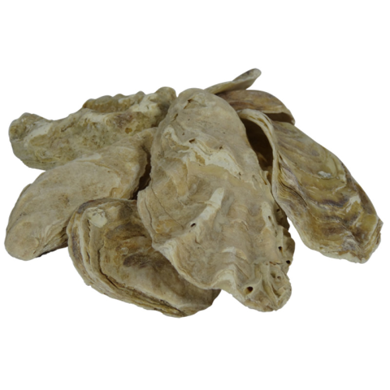 Coquille d'huître  BigBag 2m3 = 1000kg