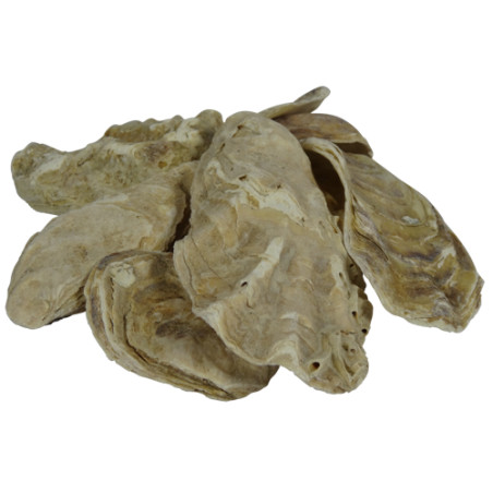 Coquille d'huître  BigBag 2m3 = 1000kg
