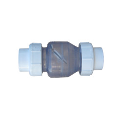 Clapet anti-retour 2 inch