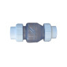 Clapet anti-retour 2 inch