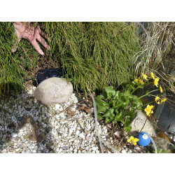 Pompe à air AIR extérieure 200 + tuyau + bulleur