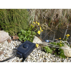 Pompe à air AIR extérieure 1000 + tuyau + bulleur