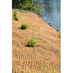 Lit de culture en coco