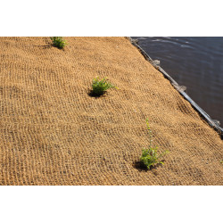 Lit de culture en coco