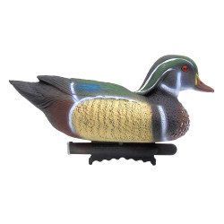 Carolina flottant mâle