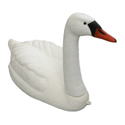 Cygne flottant blanc