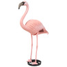 Flamant rose debout