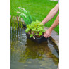 Panier de plantation ovale +/-35x25cm pour plantes aquatiques