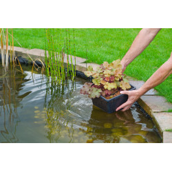 Panier de plantation carré 30x30x20cm pour plantes aquatiques