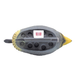 Sarcelle flottante mâle