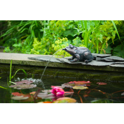 Gargouille Grenouille 17cm jet d'eau