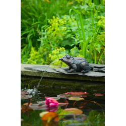 Gargouille Grenouille 17cm jet d'eau
